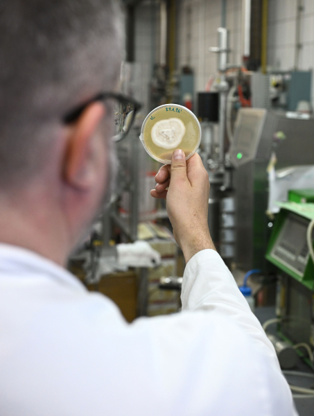 Bioprocess Engineering